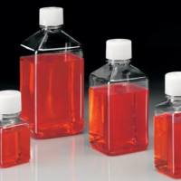 上皮细胞专用培养基