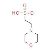 2-吗啉乙磺酸