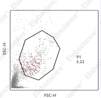 Elabscience_Annexin V的常见问题分析及解决方案