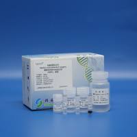 植物基因组DNA提取试剂(磁珠法)