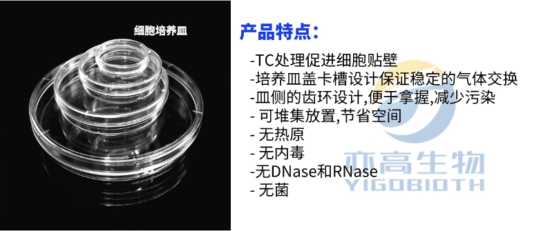 100mm细胞培养皿,TC处理,带易握环