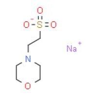 吗啉乙磺酸钠盐
