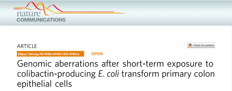 IF=17.694丨Nature Communications：短期暴露于大肠杆菌后，基因组畸变会转化原代结肠上皮细胞