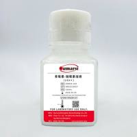 青霉素-链霉素溶液(100×)