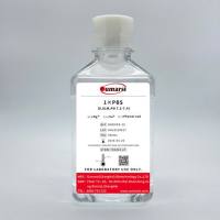 1×PBS(0.01M,pH 7.2-7.4)