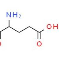 谷氨酸钠一水合物