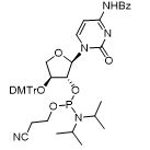TNA-C phosphoramidite