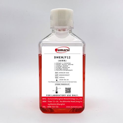 DMEM/F12(with Penicillin-Streptomycin)