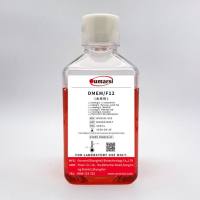 DMEM/F12(with Penicillin-Streptomycin)