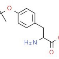 O-叔丁基-L-酪氨酸