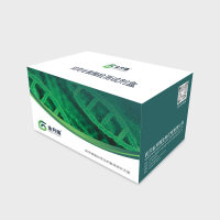 双荧光素酶报告基因检测试剂盒（50T）活动价仅几百元