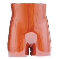 RS-113T美国RSD模体 骨盆模体臀部模体