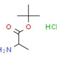 D-丙氨酸叔丁酯盐酸盐