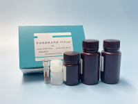外泌体提取试剂盒（EVtrap）