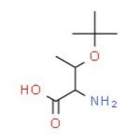 O-叔丁基-L-苏氨酸