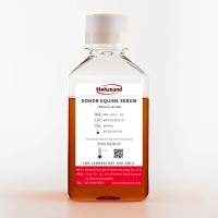 马血清