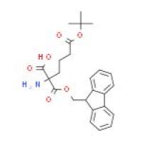 (S)-2-芴甲氧羰基氨基己二酸 6-叔丁酯