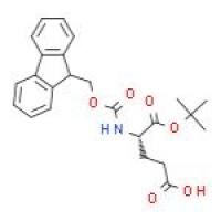 芴甲氧羰基-L-谷氨酸 1-叔丁酯