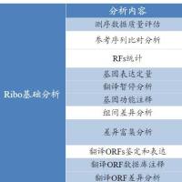 Ribo-seq蛋白组翻译