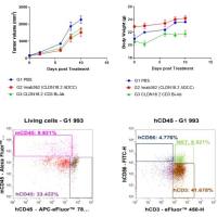 小鼠PDX模型构建 / 药敏检测 / 科研服务