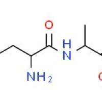 L-亮氨酸-L-丙氨酸