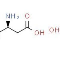L-天冬氨酸 钠盐 一水合物