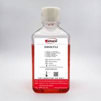 DMEM/F12