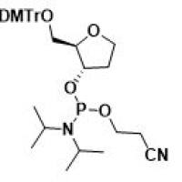 dSpacer CE Phosphoramidite