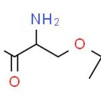 O-叔丁基-D-丝氨酸