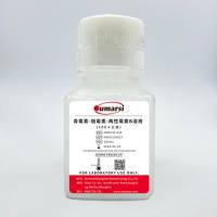 青霉素-链霉素-两性霉素B溶液(100×三抗)