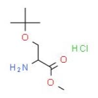 O-叔丁基-D-丝氨酸甲酯盐酸盐