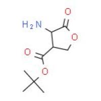 (S)-3-叔丁氧羰基氨基-gamma-丁酸内酯