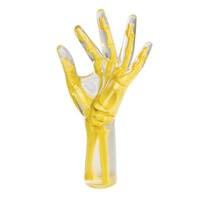 RS-114T美国RSD模体 手部/手腕模型模体