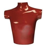 RS-320美国RSD模体 胸部肺部模体胸肺模体