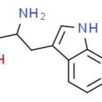 L-7-甲基色氨酸