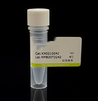 慢病毒滴度ELISA检测试剂盒