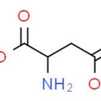 D-天冬氨酸甲酯