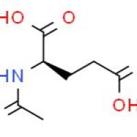 N-乙酰-D-谷氨酸