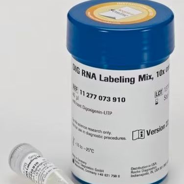DIG RNA标记混合物
