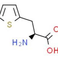 3-(2-噻吩基)-L-丙氨酸