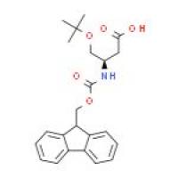 O-TERT-丁基-N-FMOC-L-Β-高丝氨酸