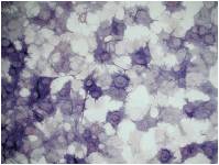 1214815164971063.jpg 图片4.jpg