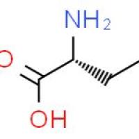 L-2-氨基丁酸