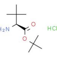 (S)-2-氨基-3,3-二甲基丁酸叔丁酯盐酸盐