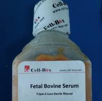 优级胎牛血清 cell-box
