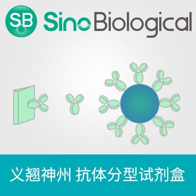 Omicron (XBB.1.5) Spike RBD Antibody Titer Assay Kit