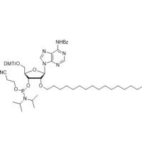 2’OC16-A(Bz) phosphoramidite