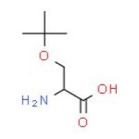 O-叔丁基-L-丝氨酸