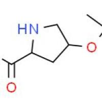 L-4-羟脯氨酸叔丁酯