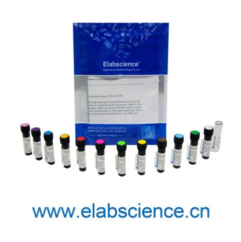 Elab Fluor® Violet 450 Mouse IgG2a, κ Isotype Control同型对照[C1.18.4]_货号:E-AB-F09803Q